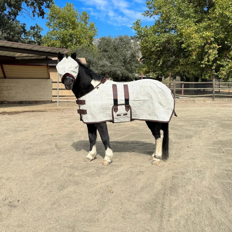 Mini Protective Fly Sheet with Belly Band - 73% UV Blocking - Equine Exchange Tack Shop