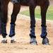 Halter Ego® Brushing Boots - Royal Blue - Equine Exchange Tack Shop