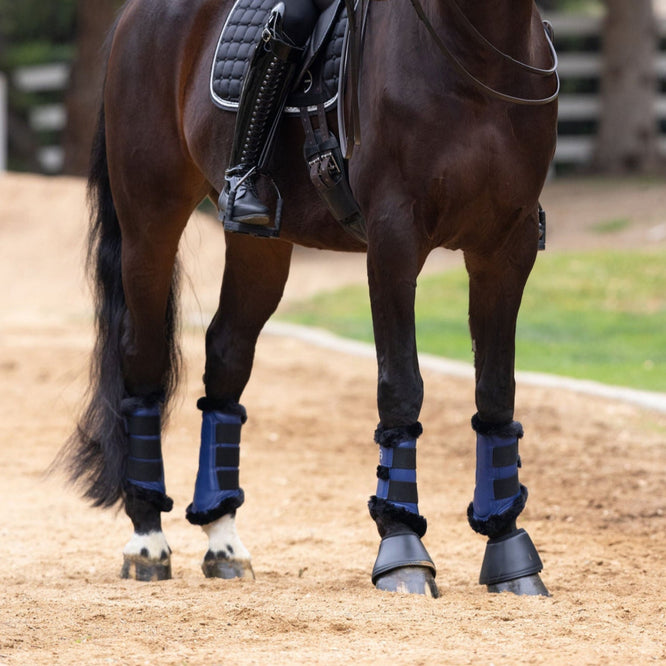 Halter Ego® Brushing Boots - Royal Blue - Equine Exchange Tack Shop