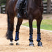 Halter Ego® Brushing Boots - Royal Blue - Equine Exchange Tack Shop