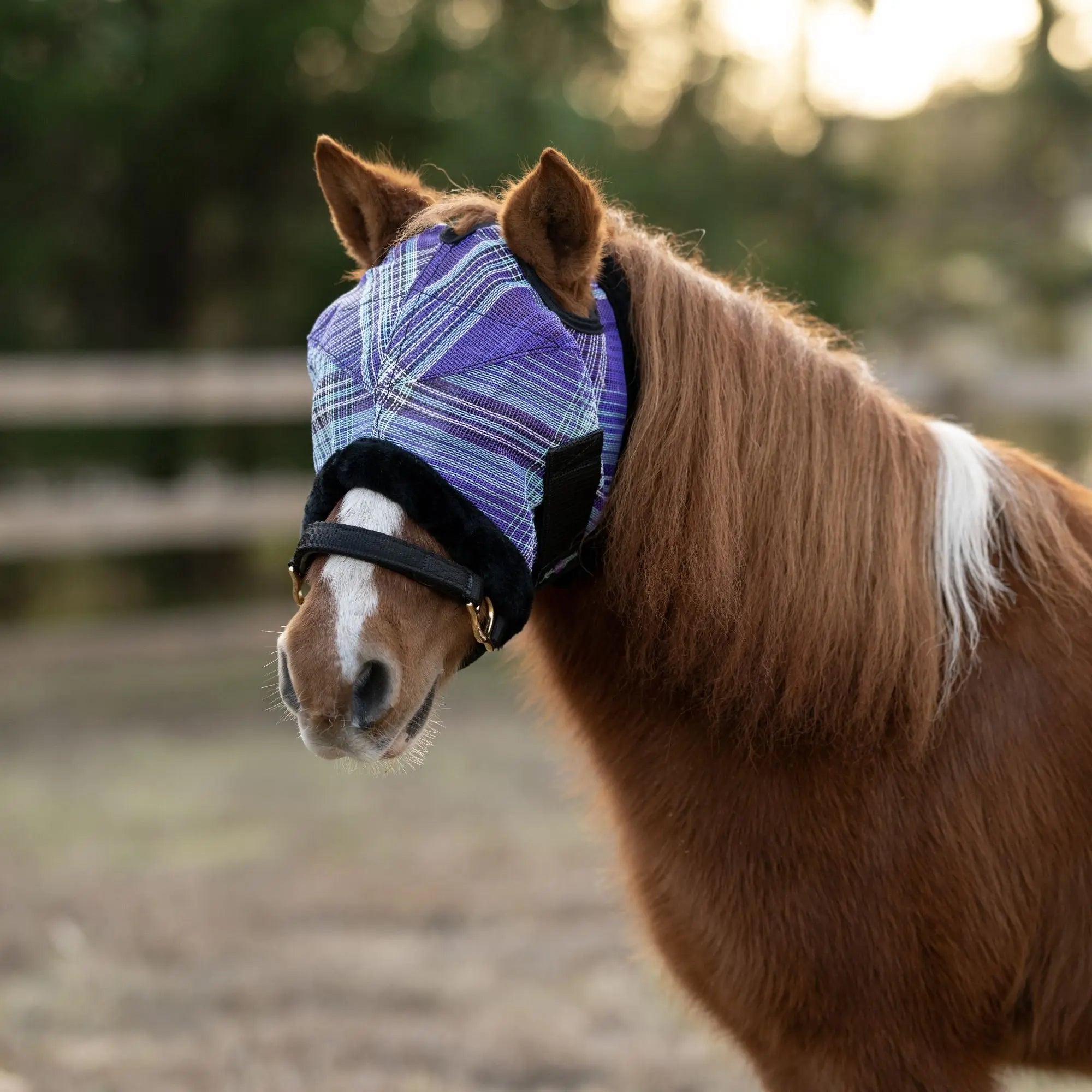 Mini/Pony Fly Mask with Fleece Trim & Dual Ear Openings - 73% UV Blocking - Equine Exchange Tack Shop