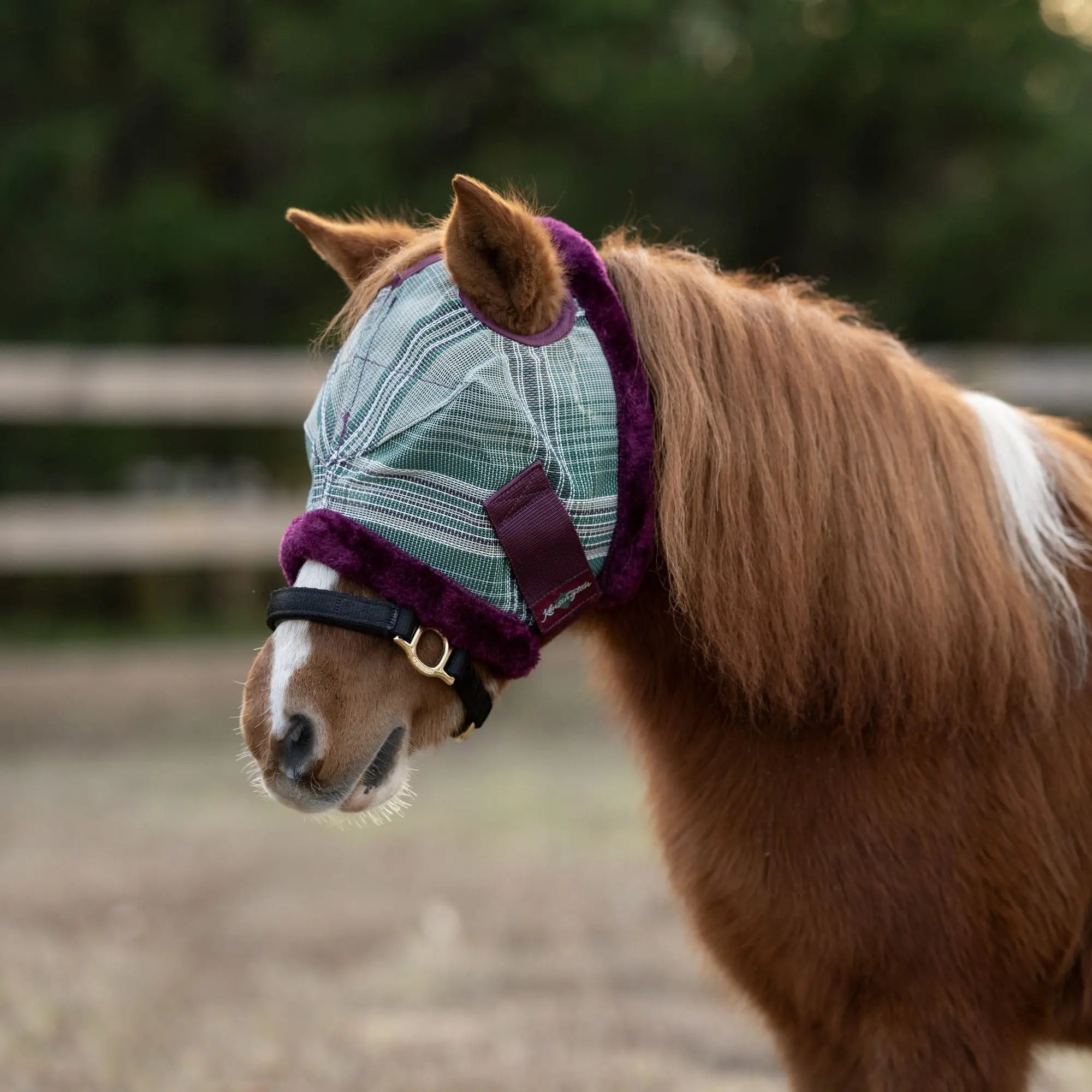 Mini/Pony Fly Mask with Fleece Trim & Dual Ear Openings - 73% UV Blocking - Equine Exchange Tack Shop