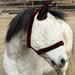 Mini/Pony Fly Mask with Fleece Trim & Soft Mesh Ears - 73% UV Blocking - Equine Exchange Tack Shop