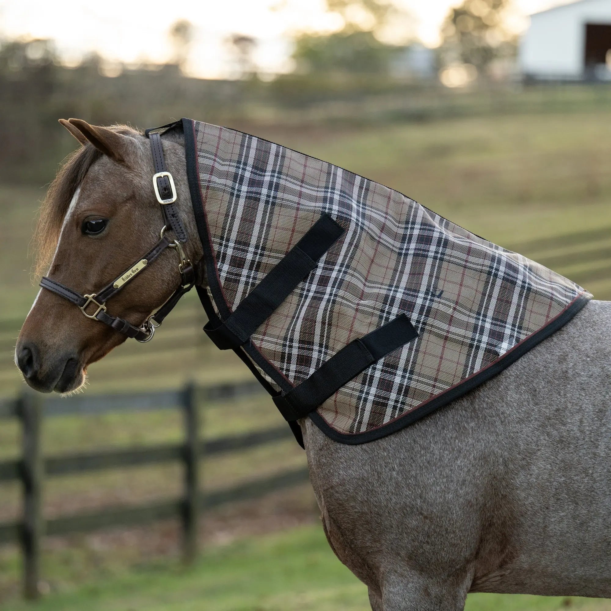 Mini/Pony Protective Neck Cover - 73% UV Blocking - Equine Exchange Tack Shop