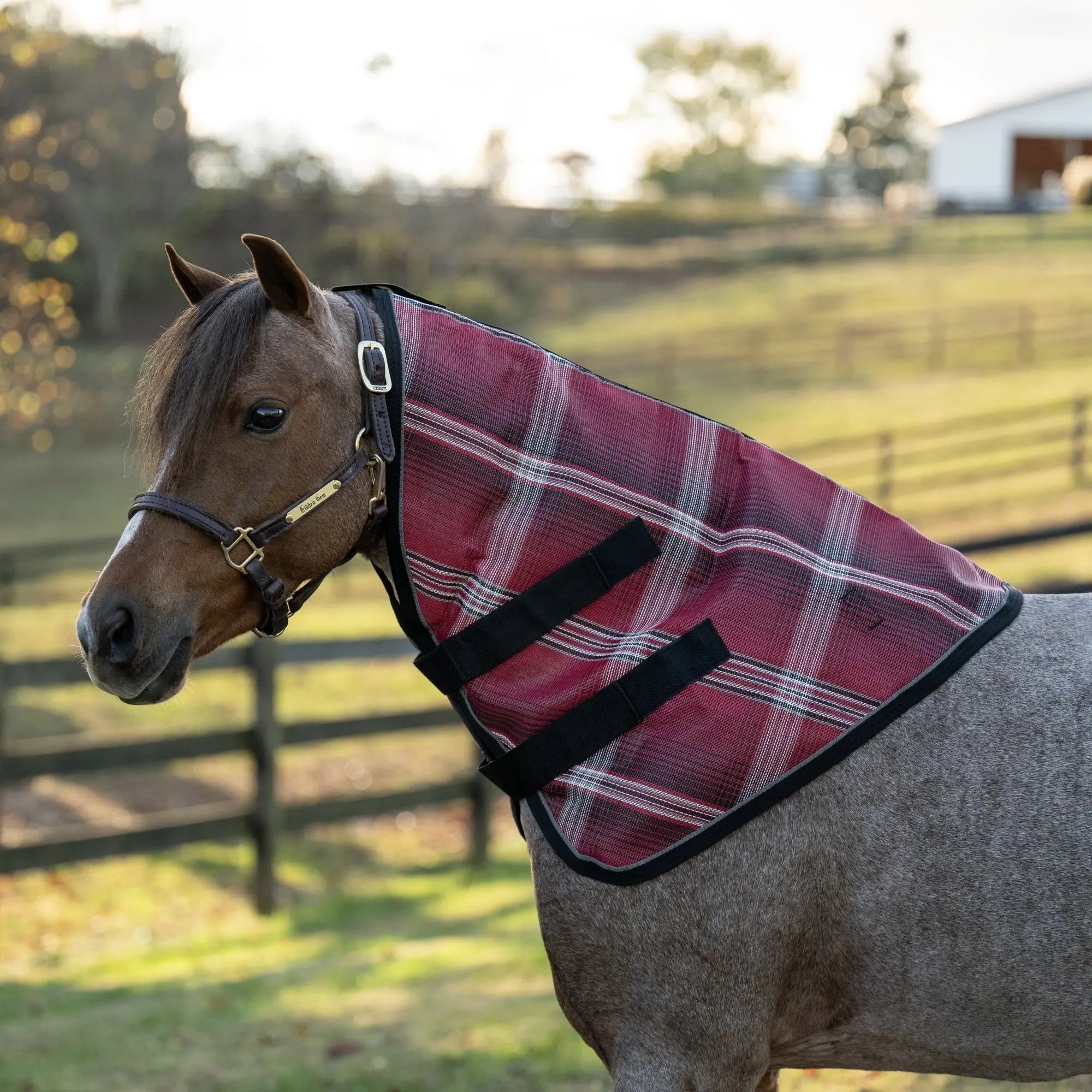 Mini/Pony Protective Neck Cover - 73% UV Blocking - Equine Exchange Tack Shop