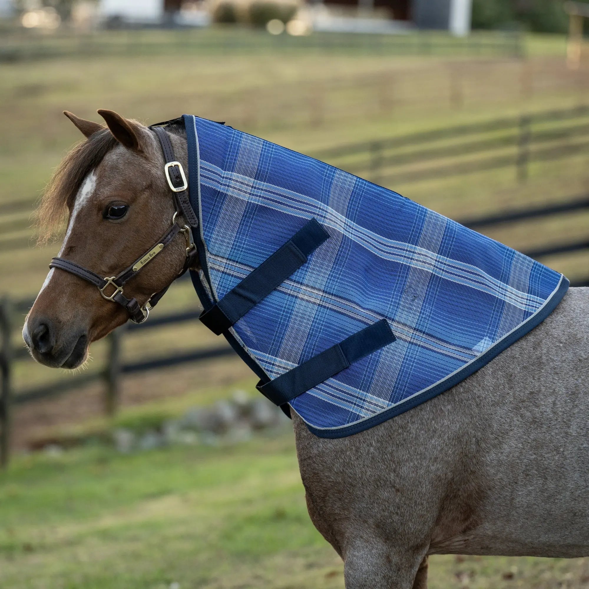 Mini/Pony Protective Neck Cover - 73% UV Blocking - Equine Exchange Tack Shop
