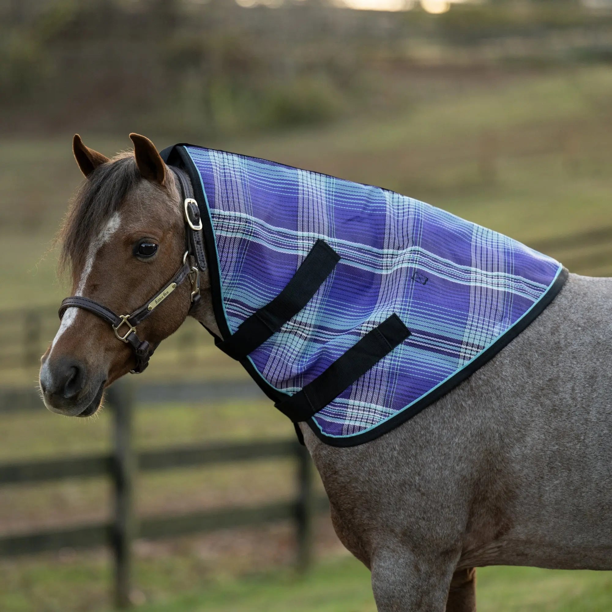 Mini/Pony Protective Neck Cover - 73% UV Blocking - Equine Exchange Tack Shop