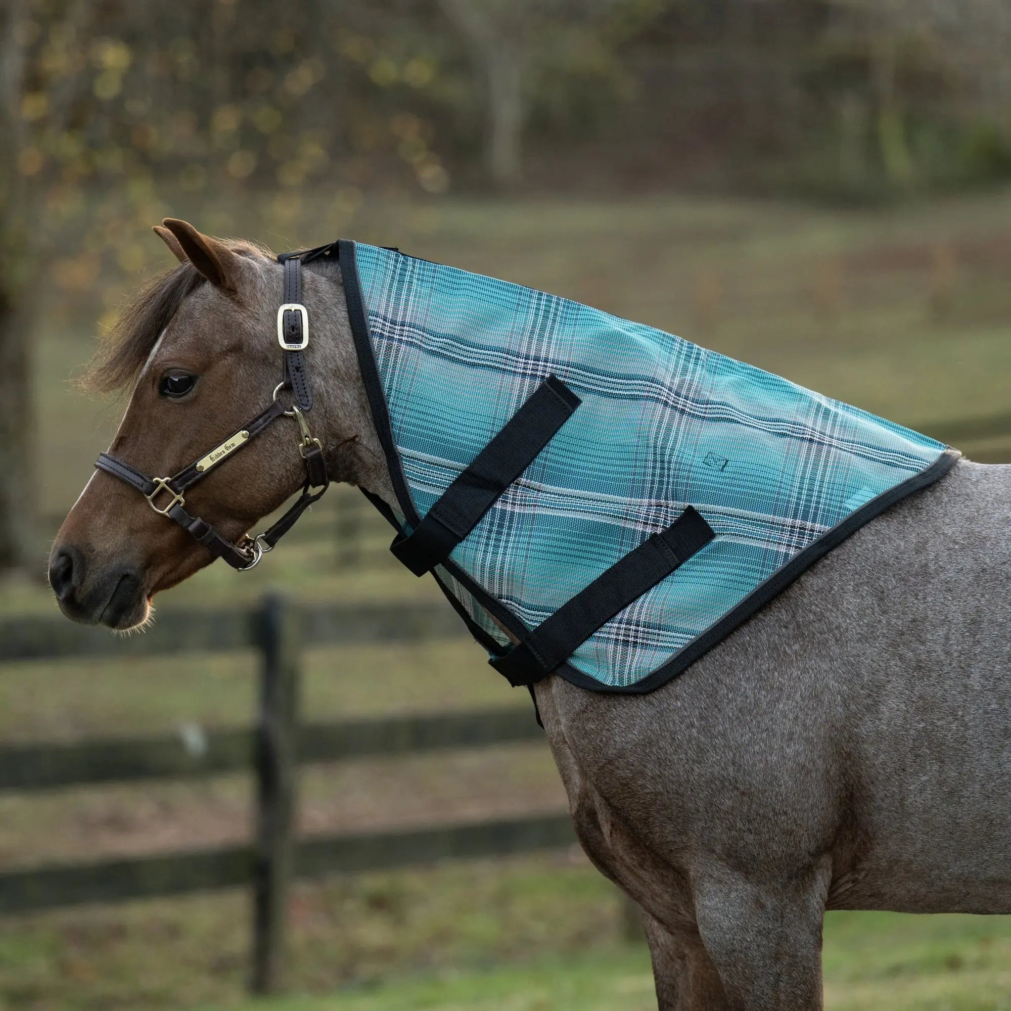 Mini/Pony Protective Neck Cover - 73% UV Blocking - Equine Exchange Tack Shop