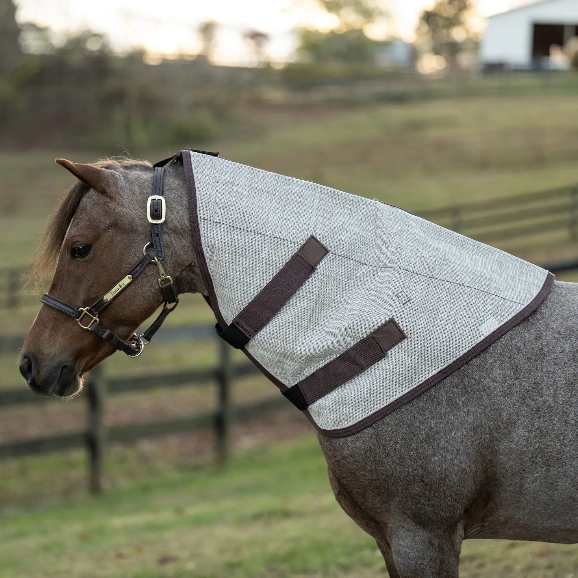 Mini/Pony Protective Neck Cover - 73% UV Blocking - Equine Exchange Tack Shop