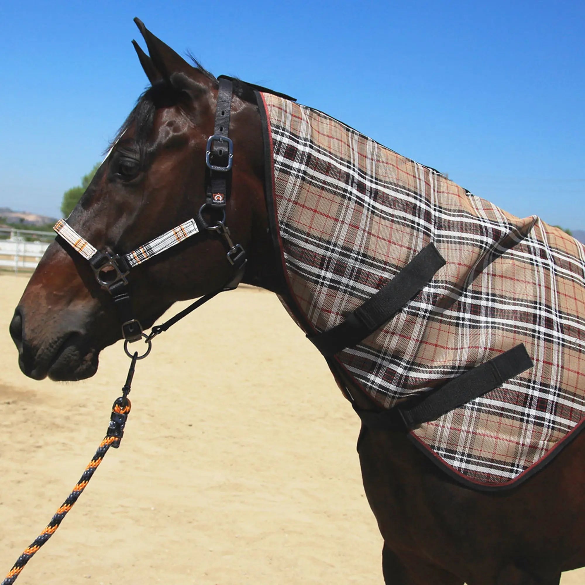 Signature Protective Neck Piece - Equine Exchange Tack Shop