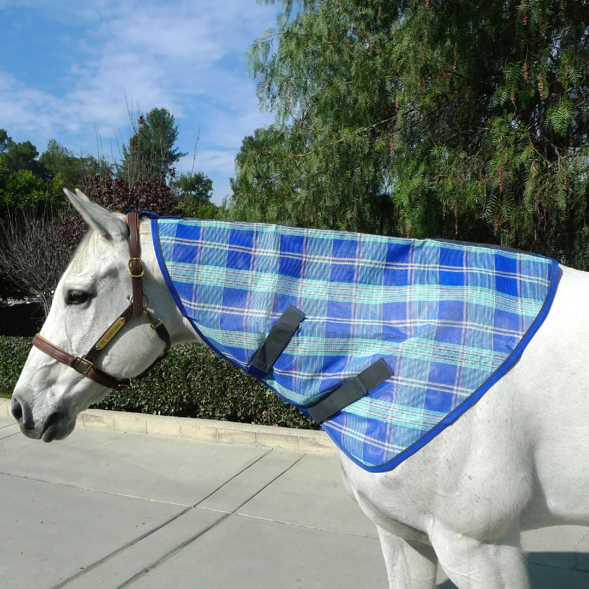 Signature Protective Neck Piece - Equine Exchange Tack Shop