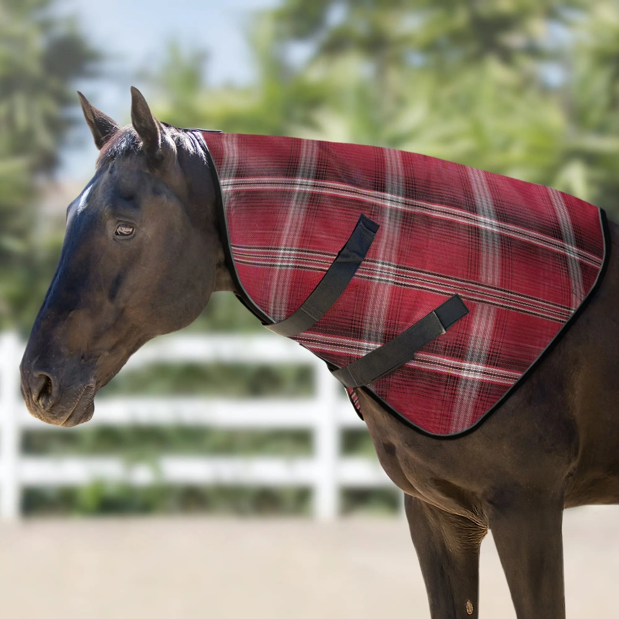 Signature Protective Neck Piece - Equine Exchange Tack Shop