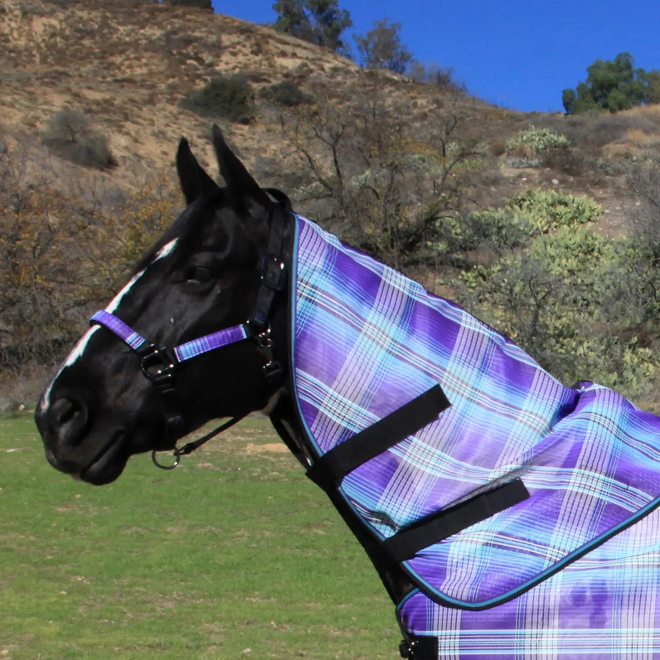 Signature Protective Neck Piece - Equine Exchange Tack Shop