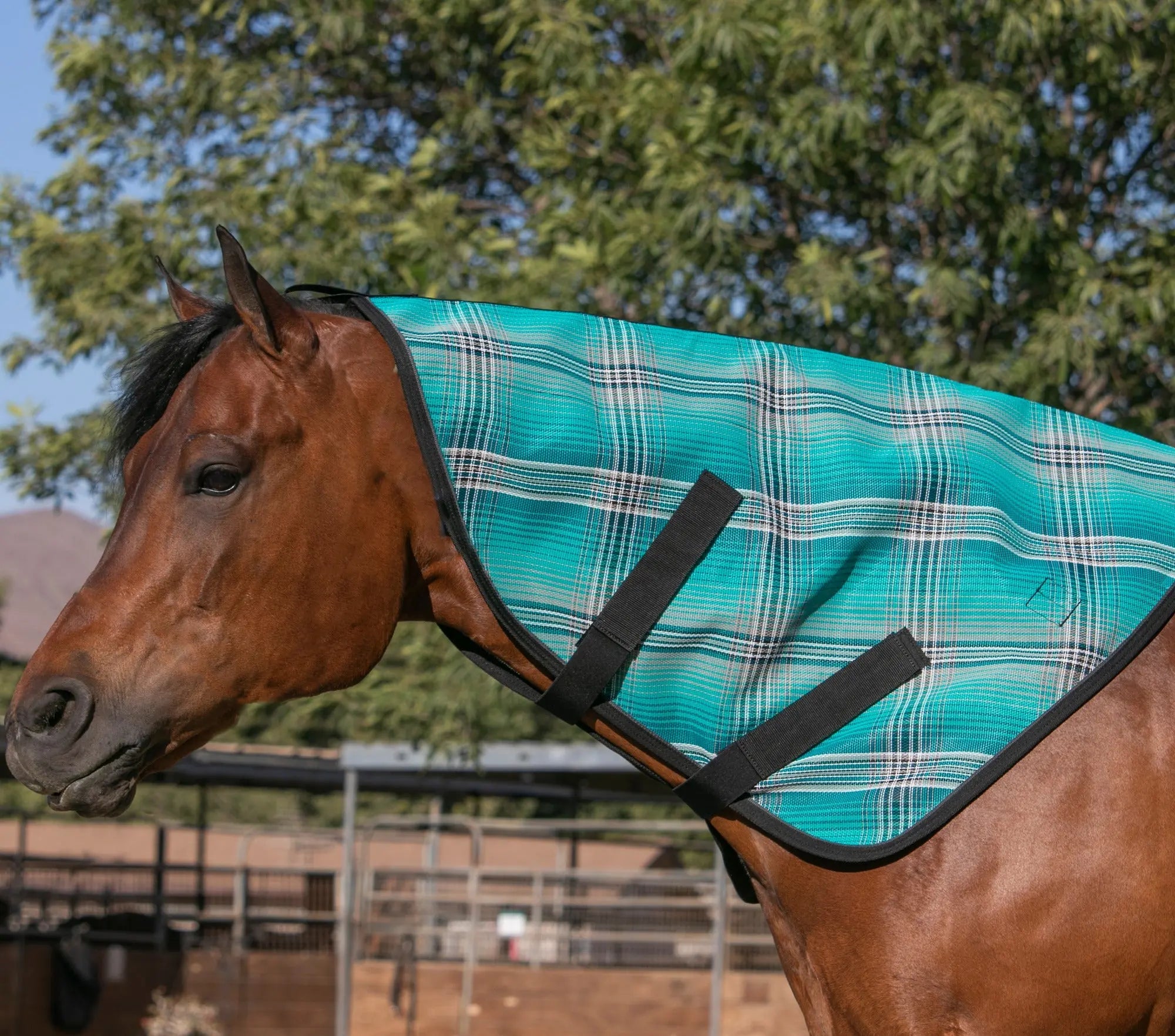 Signature Protective Neck Piece - Equine Exchange Tack Shop