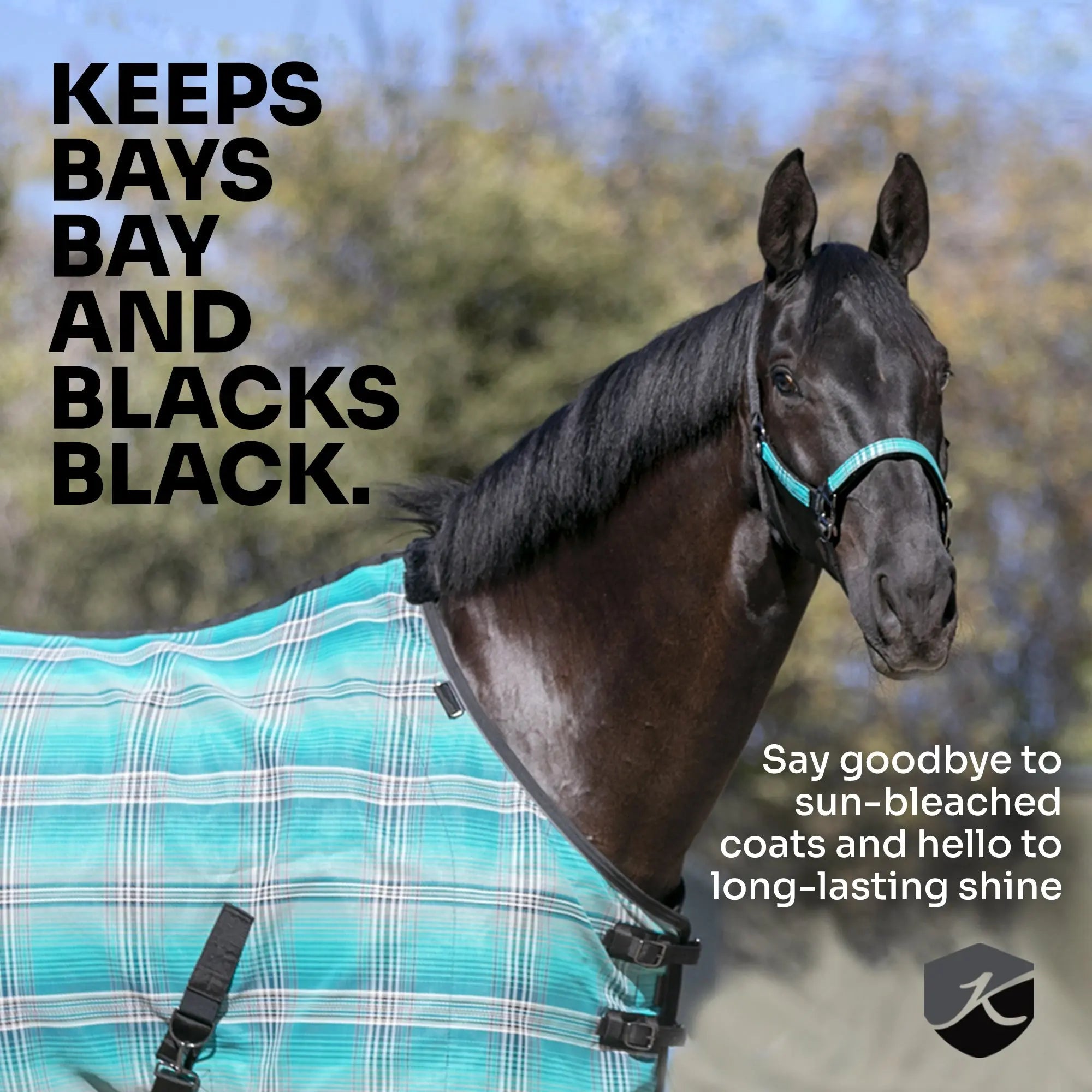 Mini Protective Fly Sheet with Belly Band - 73% UV Blocking - Equine Exchange Tack Shop