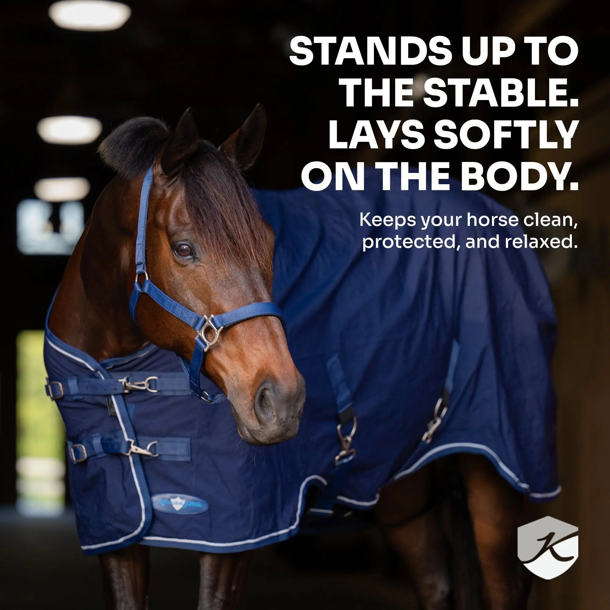 Mini Poly Cotton Stable Sheet - Equine Exchange Tack Shop
