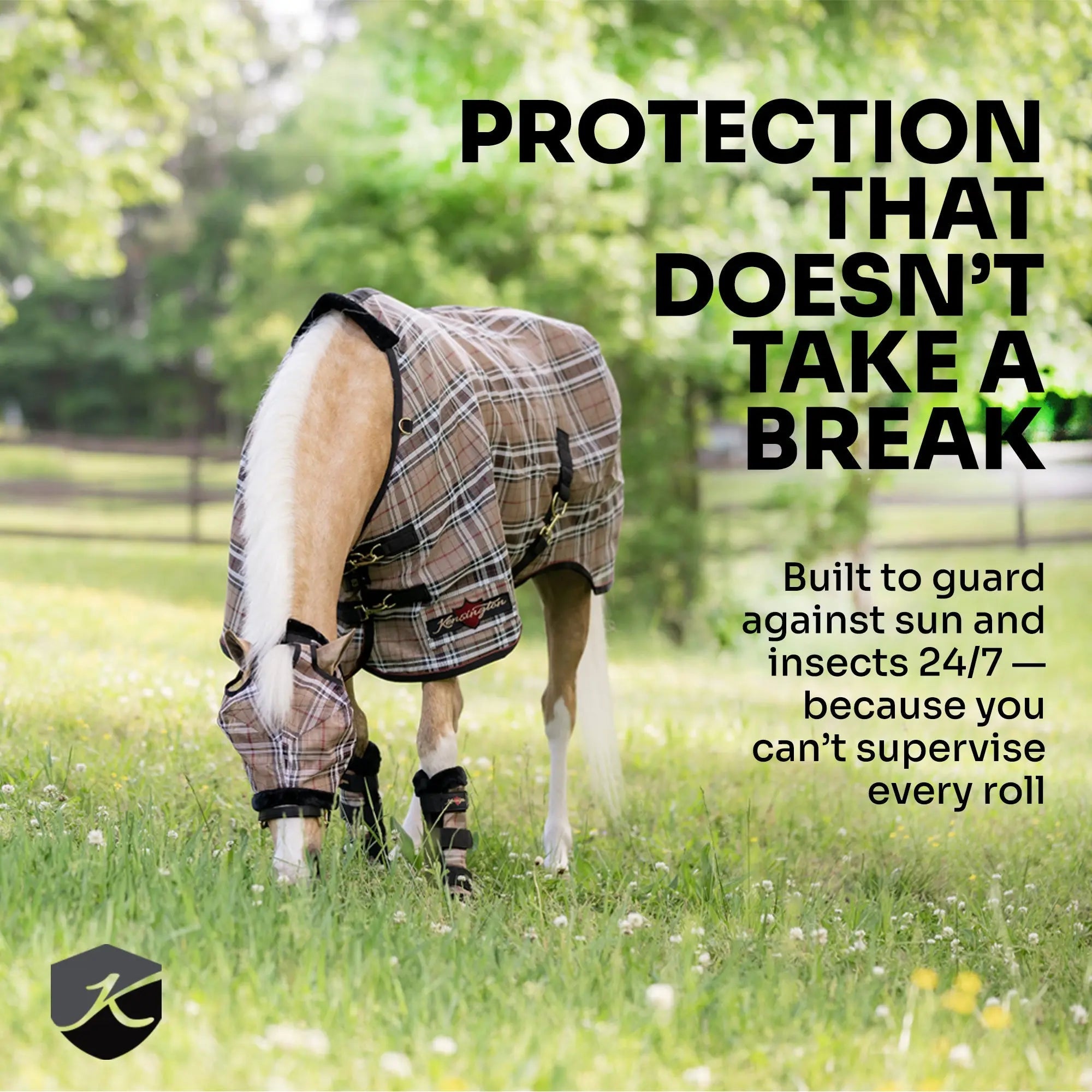 Mini Protective Fly Sheet with Belly Band - 73% UV Blocking - Equine Exchange Tack Shop