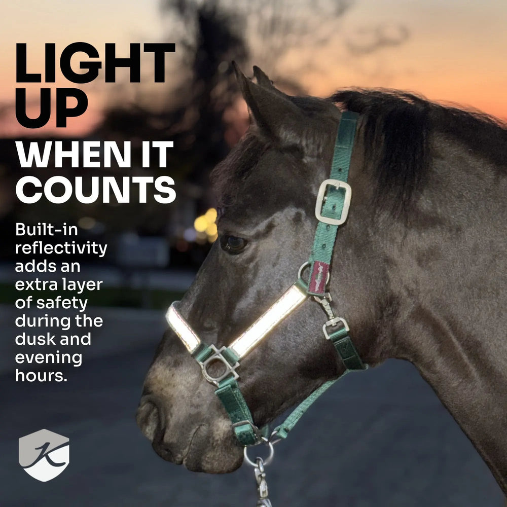 Premium Nylon Breakaway Halter