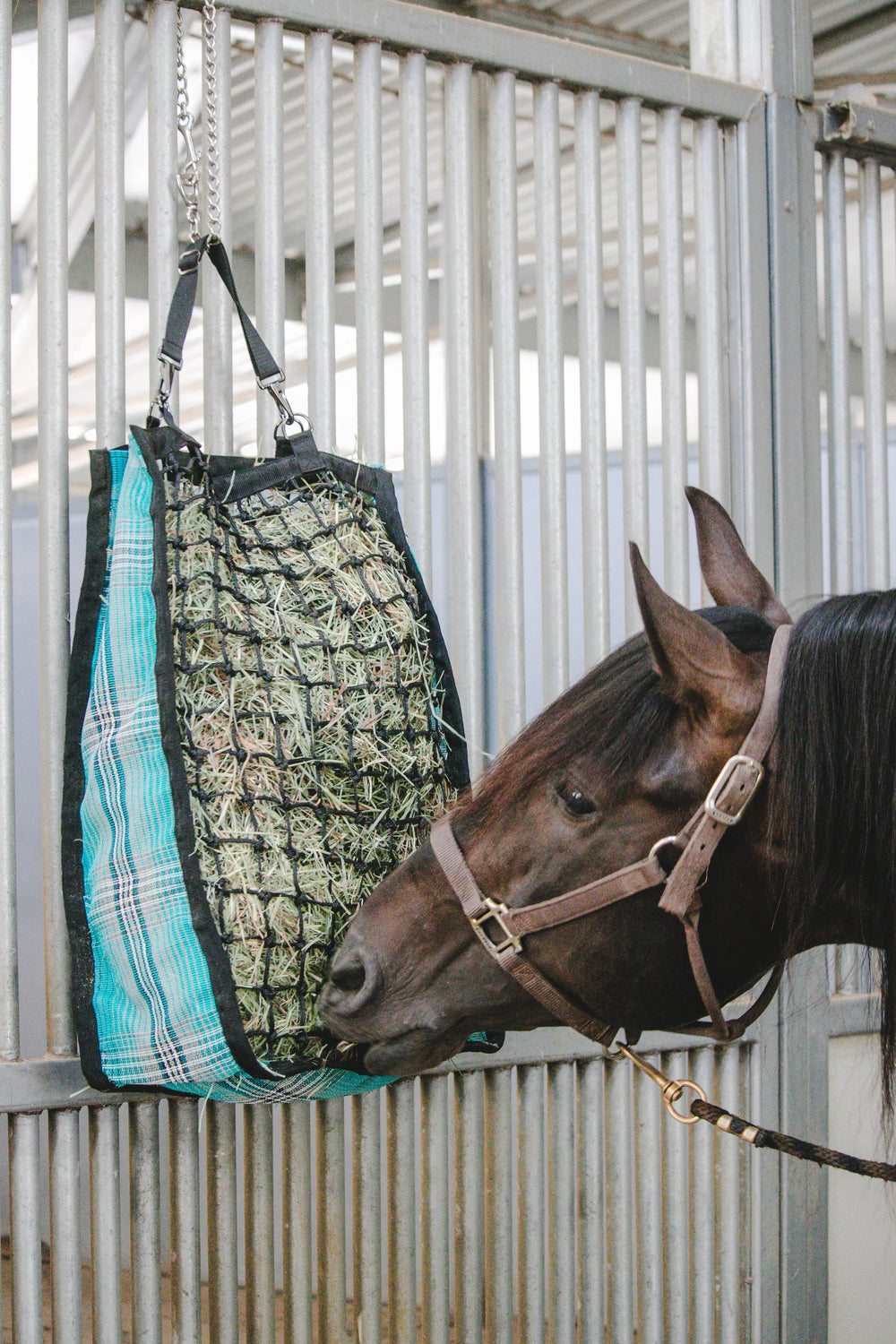 Deluxe Slow Feed Hay Bag - 2 Flake - Equine Exchange Tack Shop