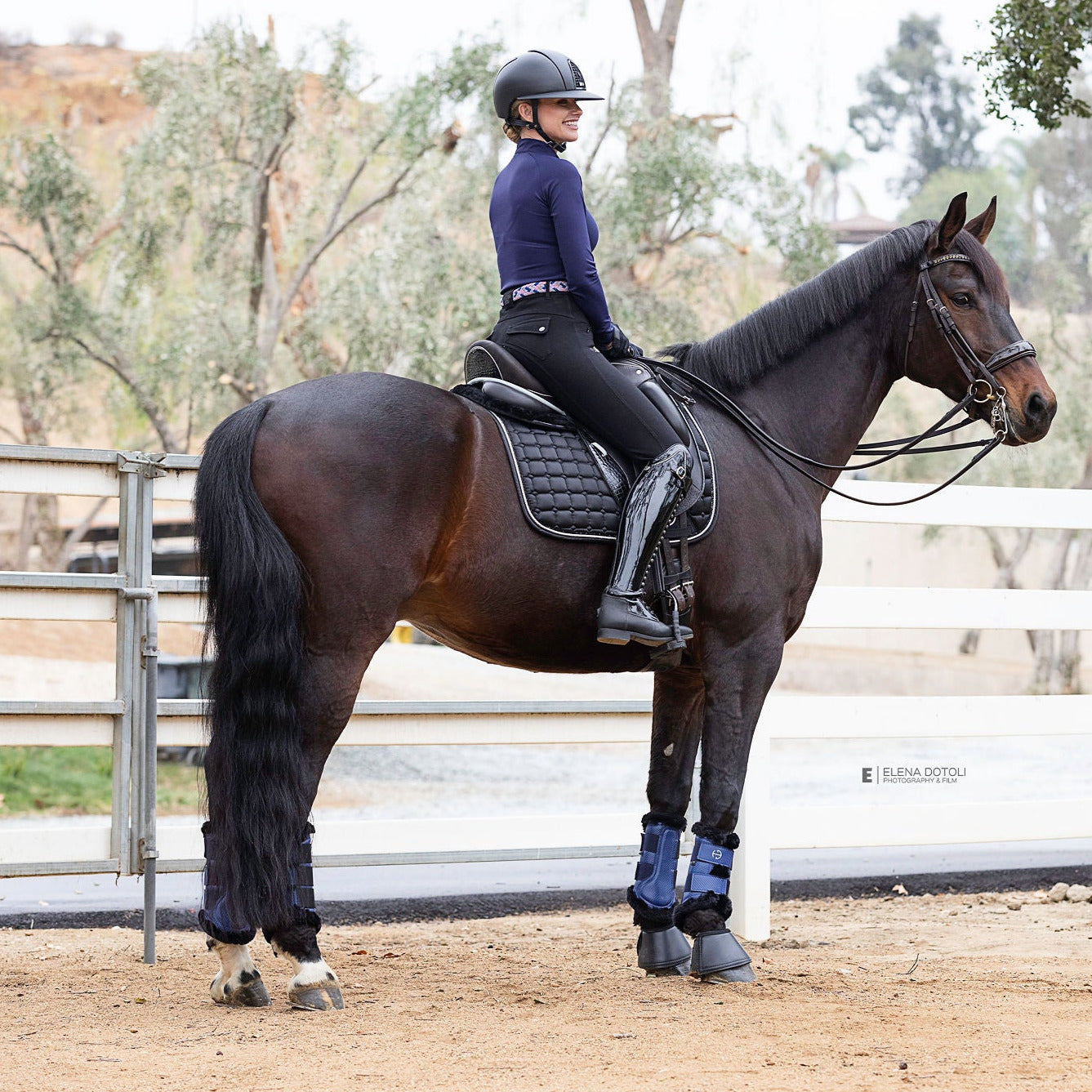 Halter Ego® Brushing Boots - Royal Blue - Equine Exchange Tack Shop