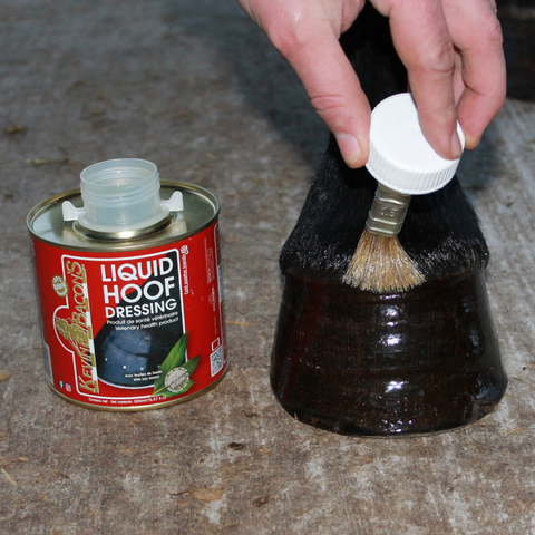 Kevin Bacon's Liquid Hoof Dressing