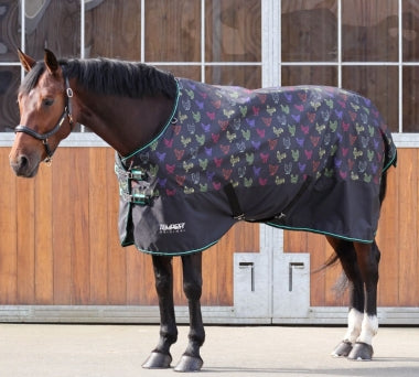 Shires Tempest Original 200G Blanket