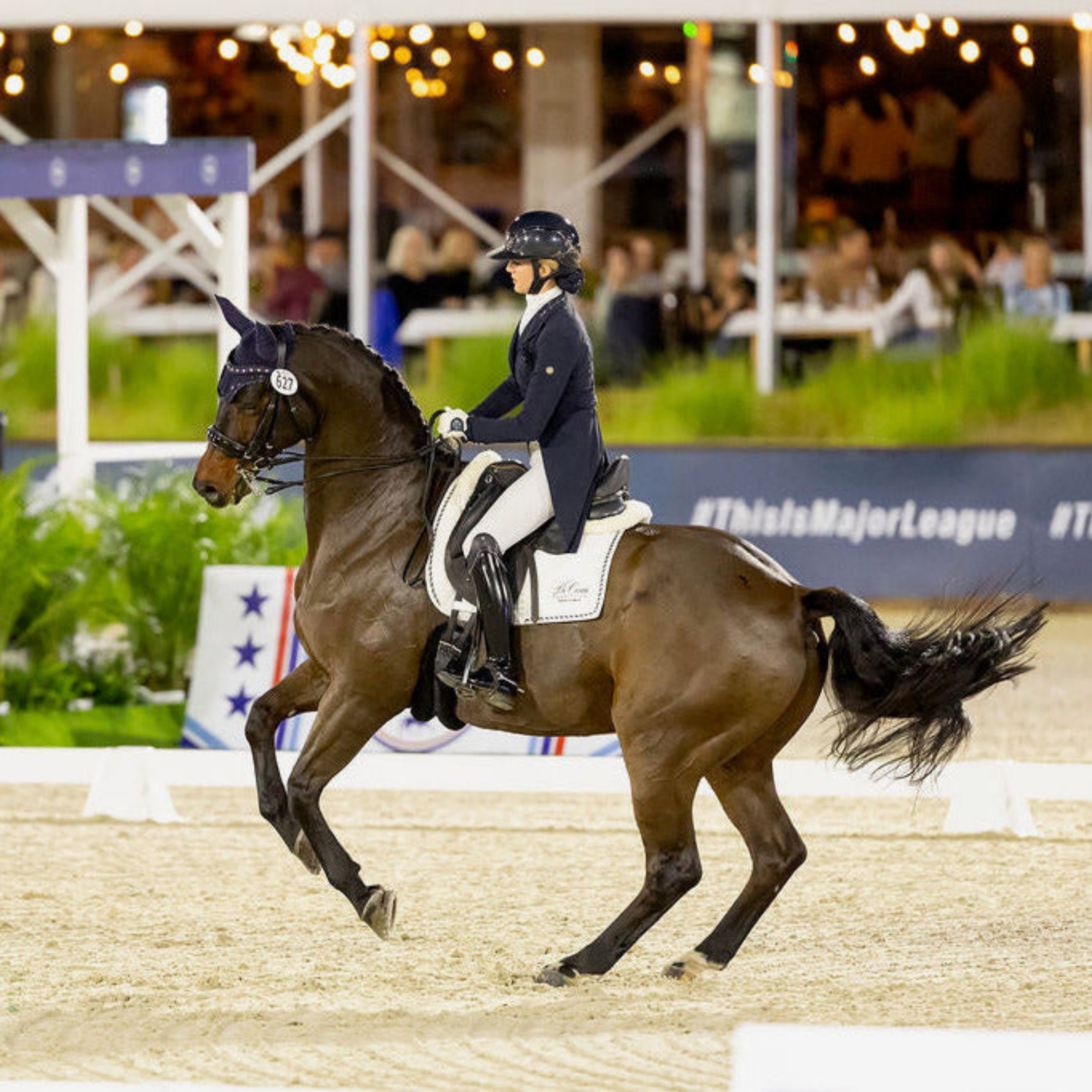 European Cotton Dressage Saddle Pad  