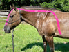 Equi-Tape® Advanced Education Package - Equine Exchange Tack Shop
