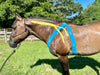 Equi-Tape® Fundamentals Course & Module Bundle - Equine Exchange Tack Shop