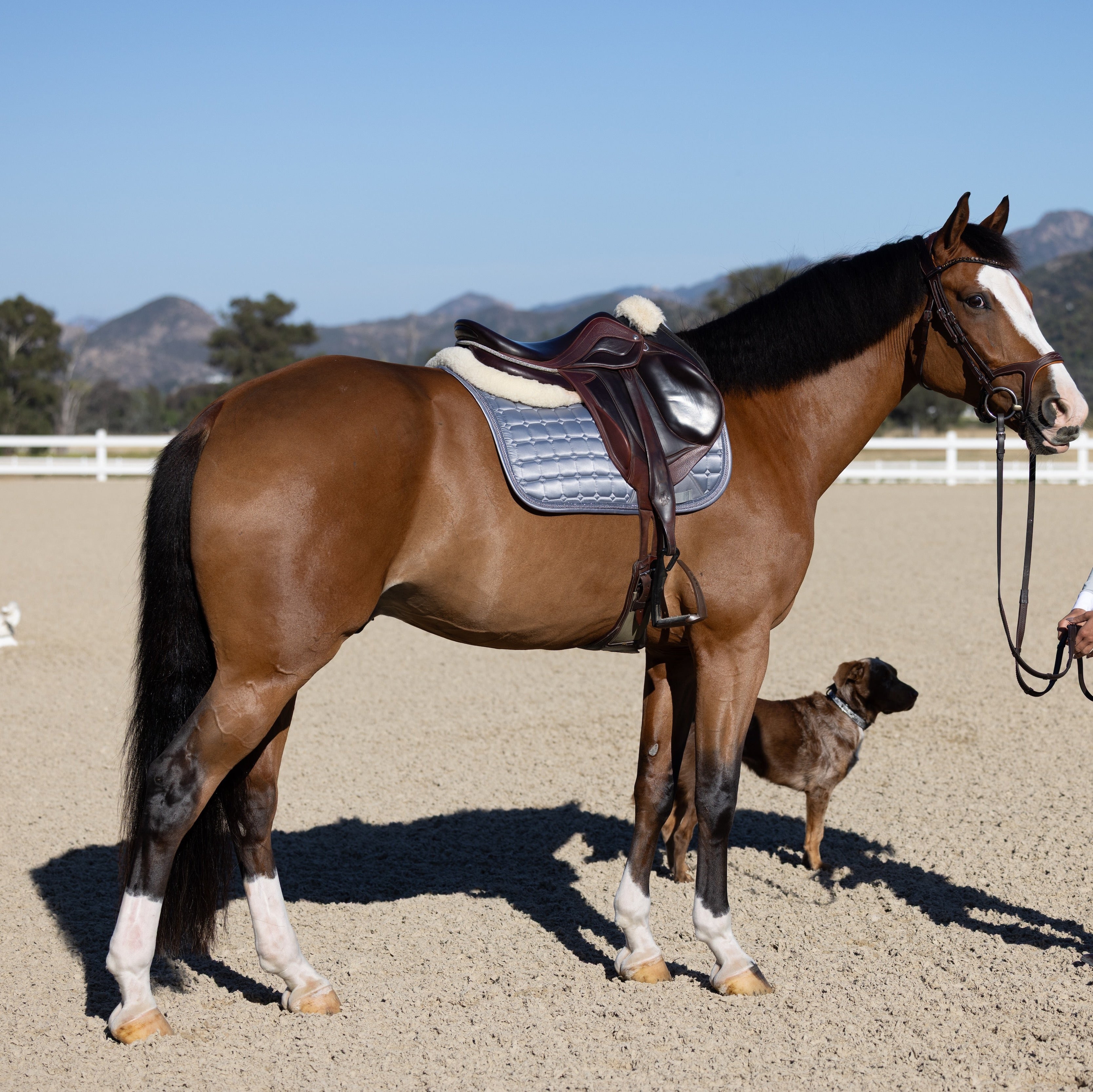 Satin Classic Jump Saddle Pad - Platinum