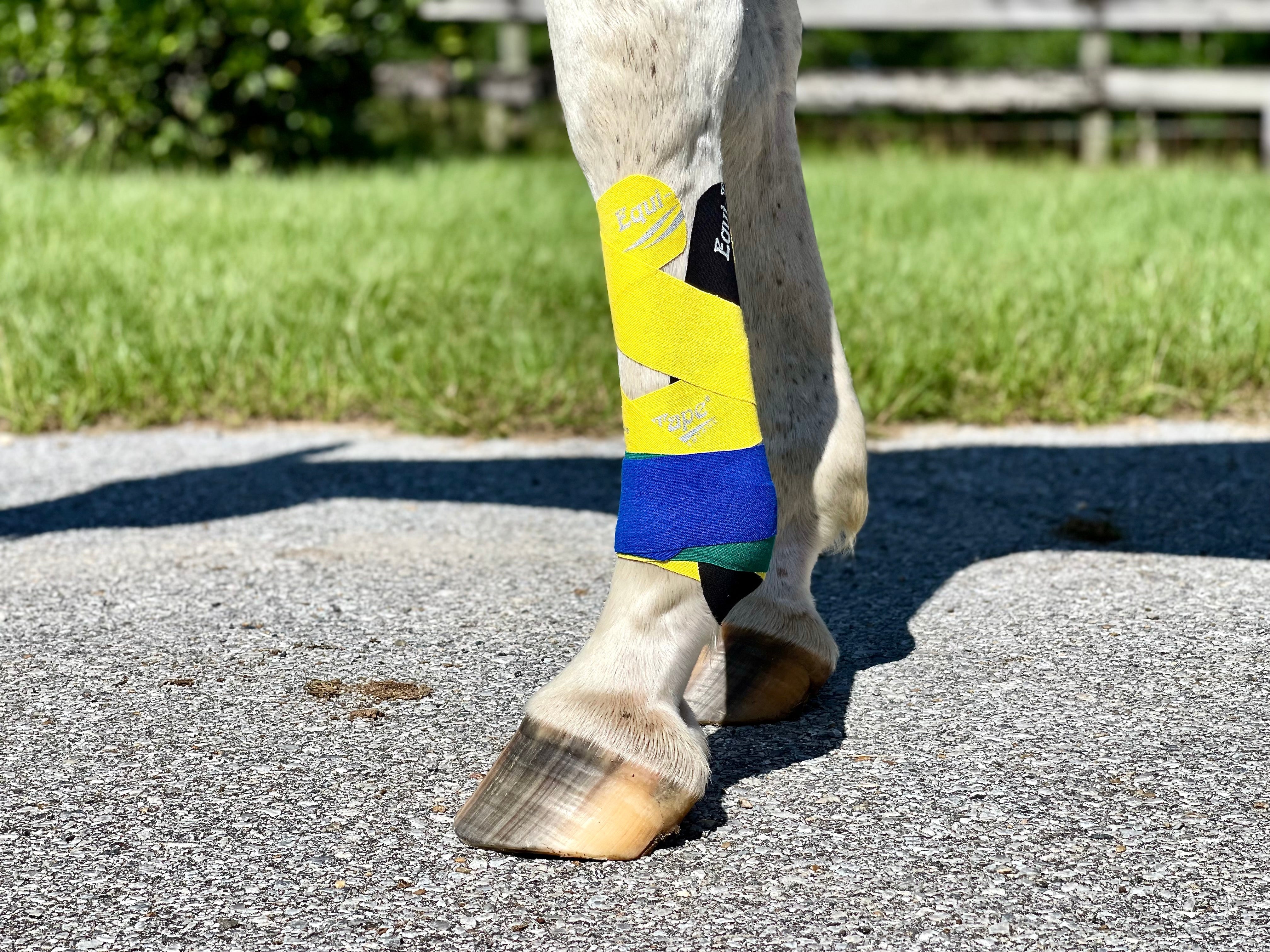 Equi-Tape® Fundamentals Course & Module Bundle - Equine Exchange Tack Shop