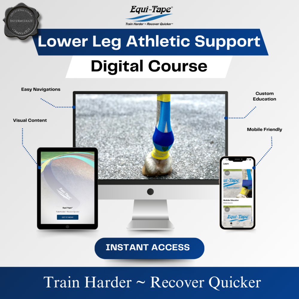 Module: Lower Leg - Equine Exchange Tack Shop