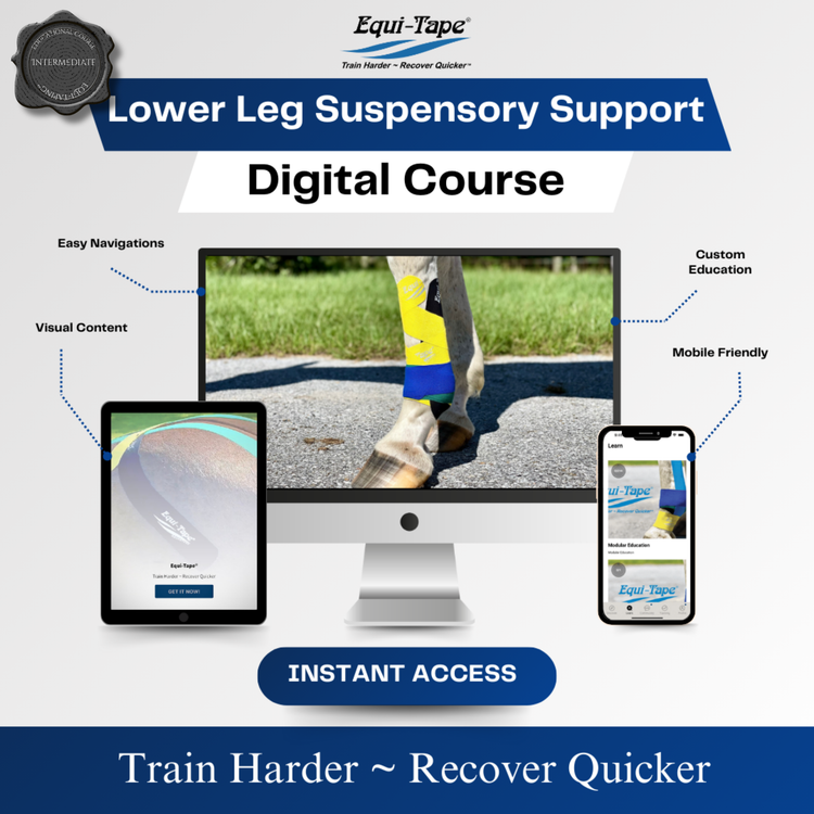 Module: Lower Leg - Equine Exchange Tack Shop