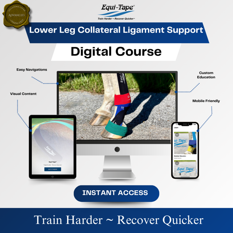 Module: Lower Leg - Equine Exchange Tack Shop