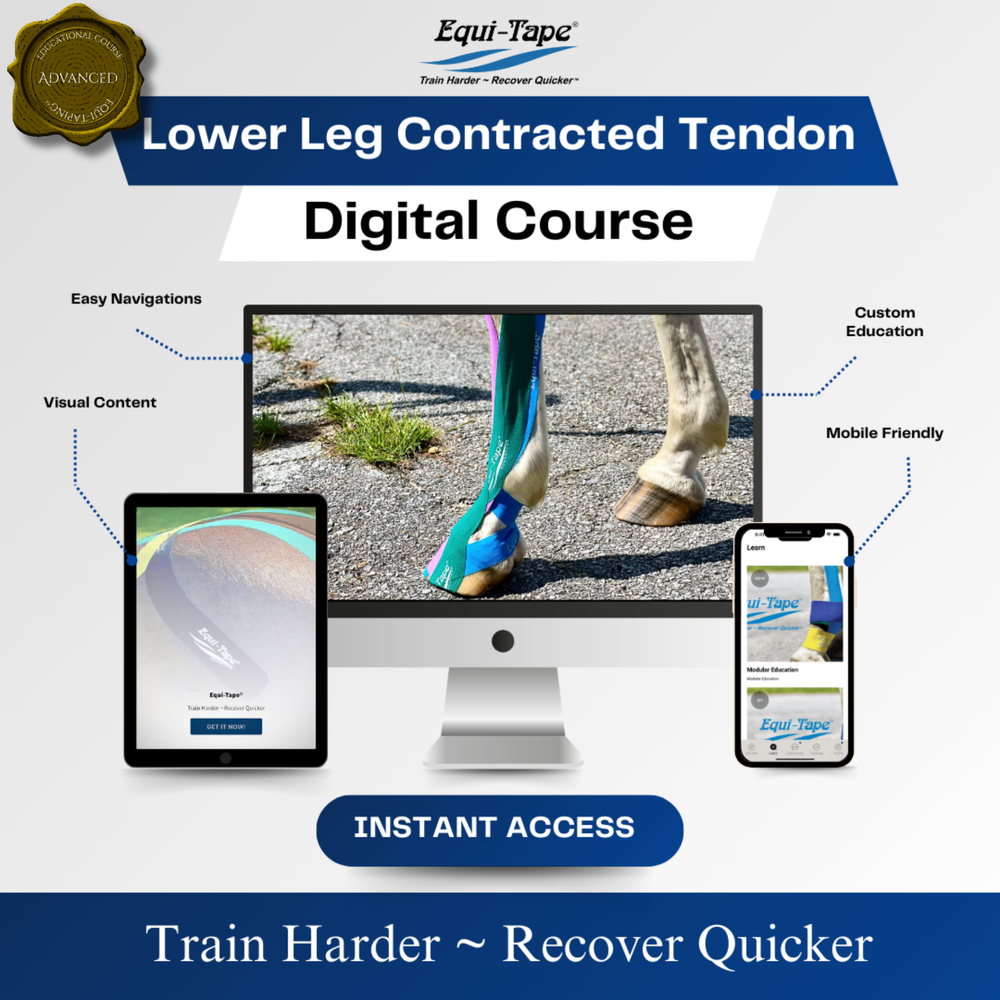 Module: Lower Leg - Equine Exchange Tack Shop