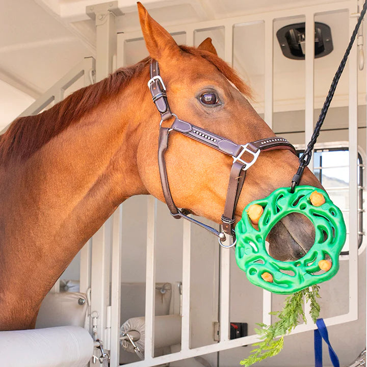 Luna® Ring Horse Toy