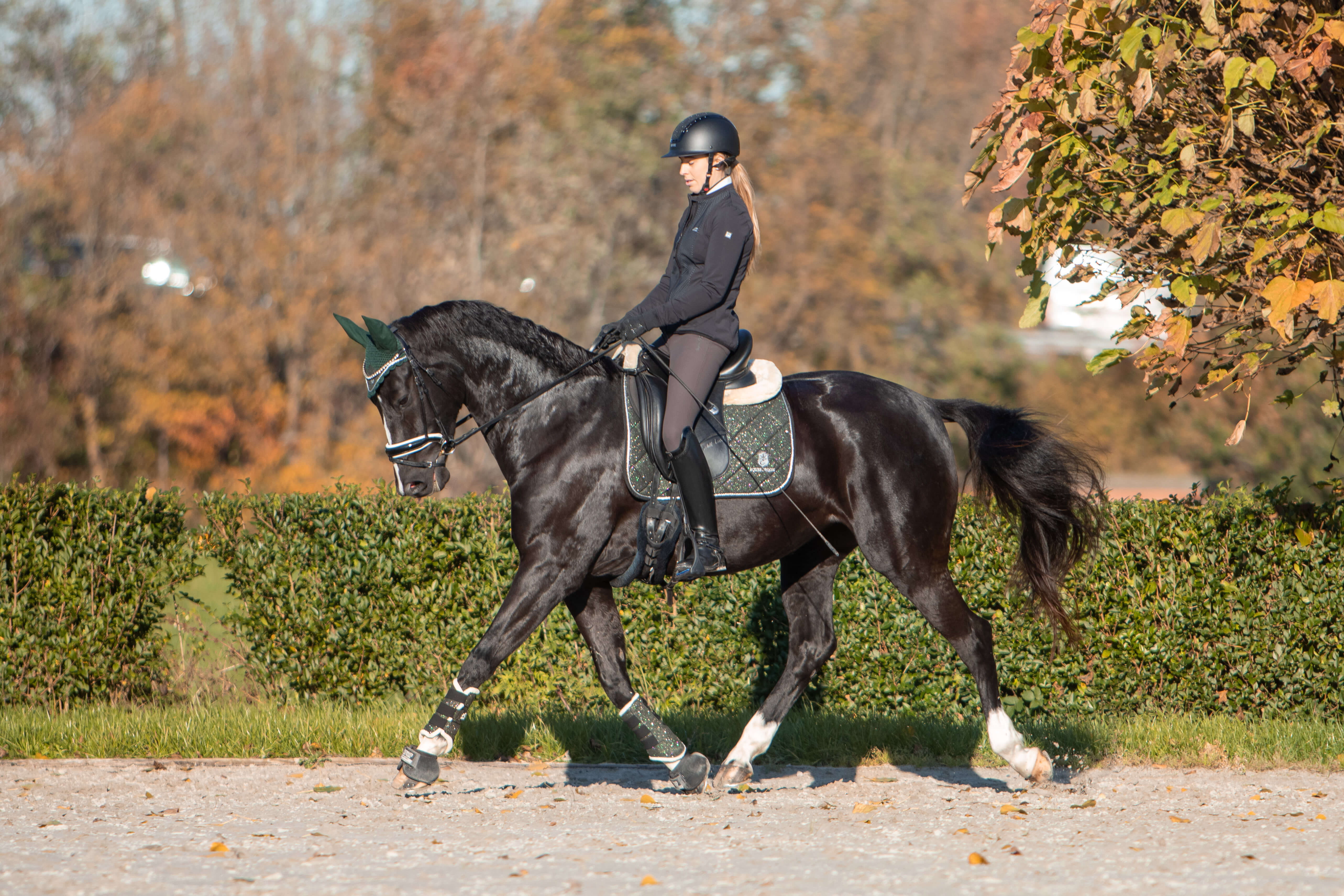 Jade Green Saddle Pad Set - Equine Exchange Tack Shop