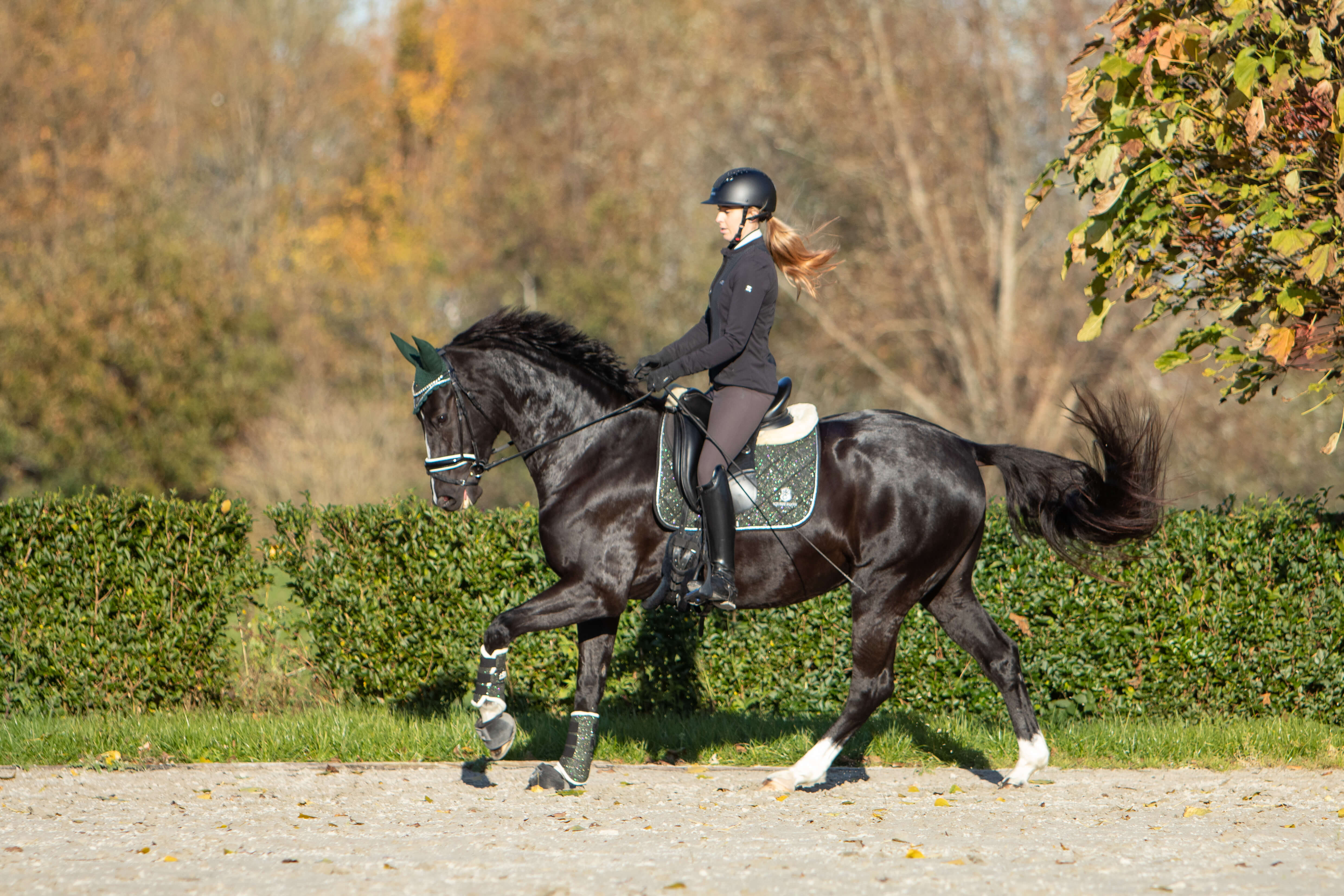 Jade Green Saddle Pad Set - Equine Exchange Tack Shop