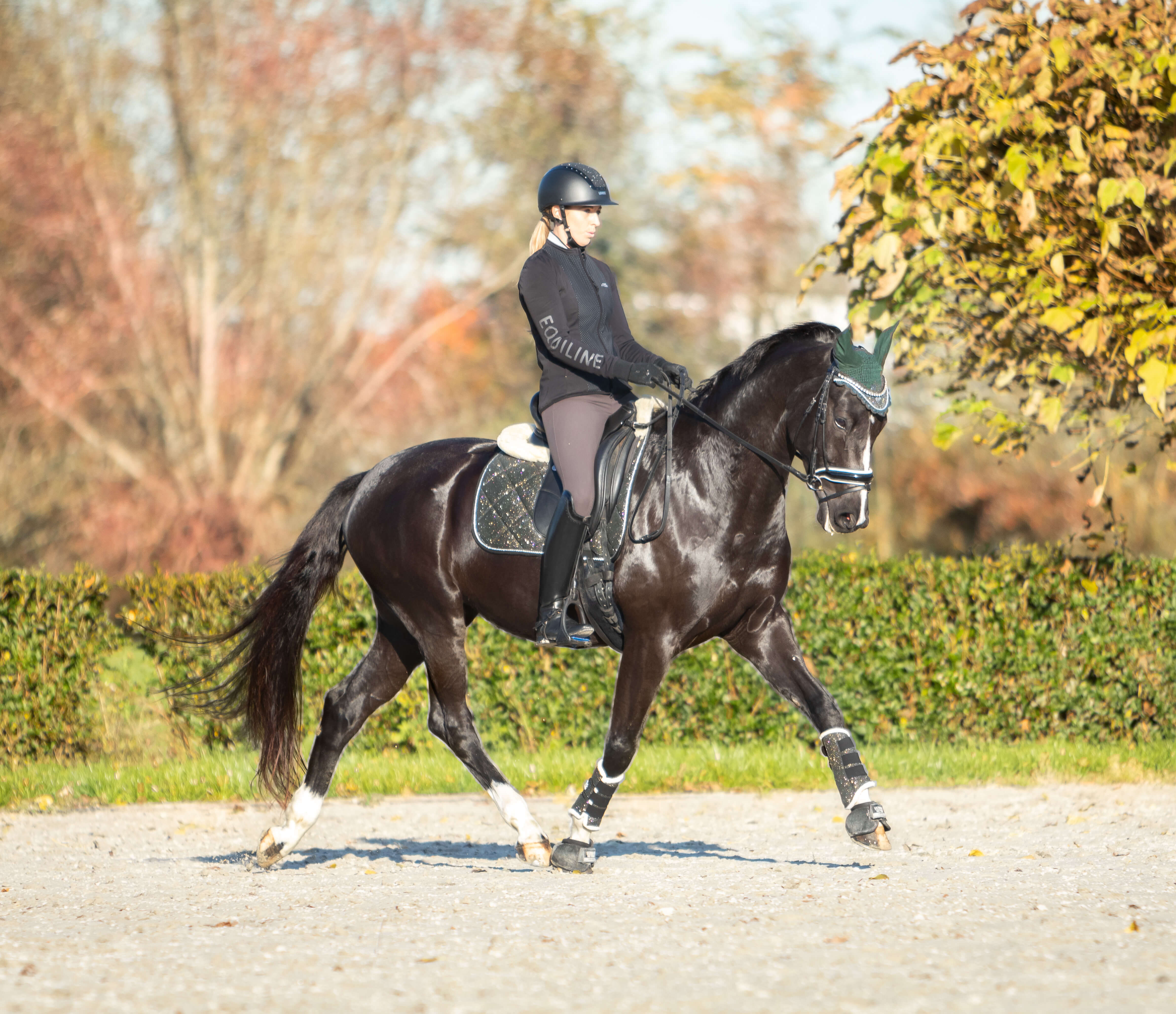 Jade Green Saddle Pad Set - Equine Exchange Tack Shop