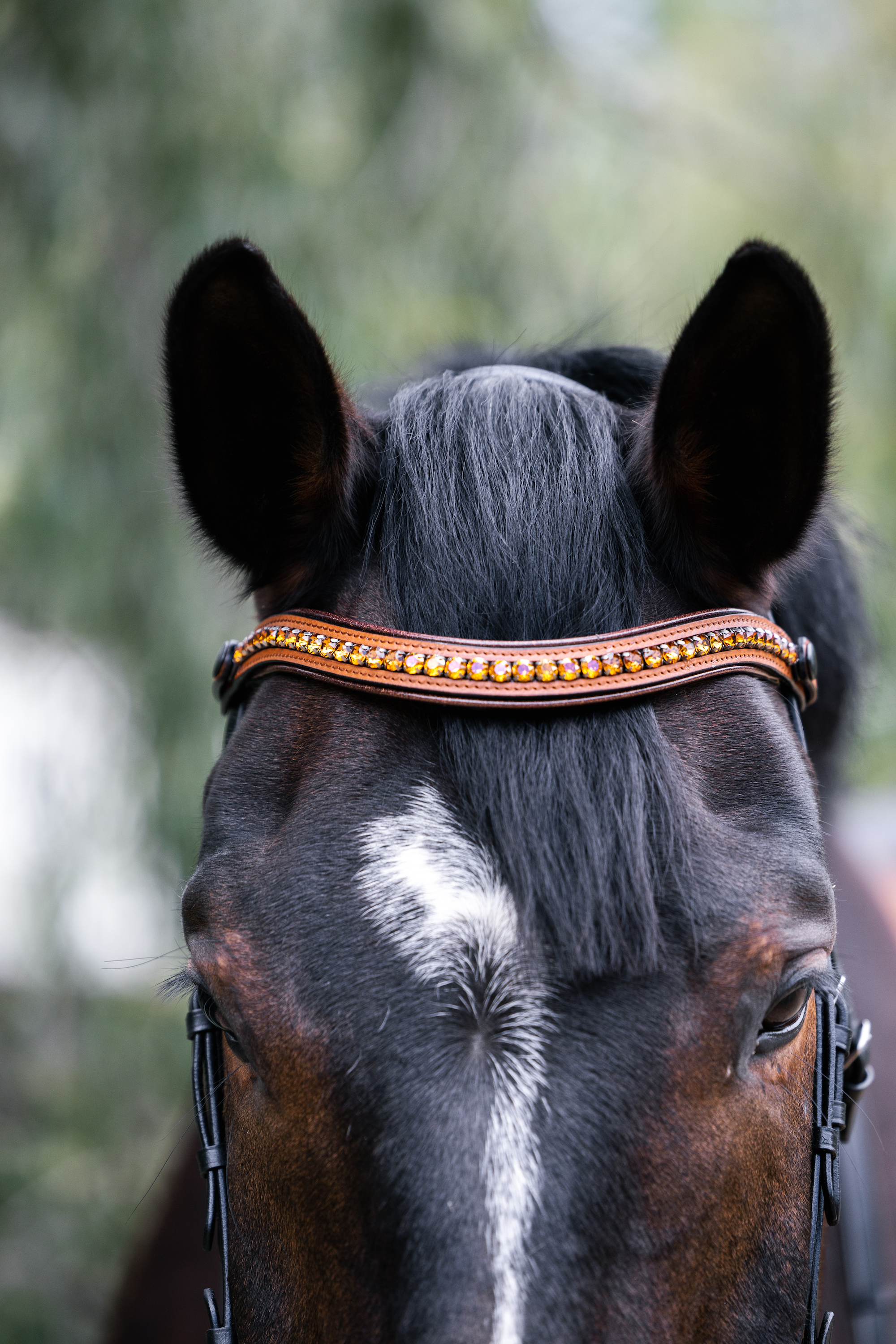Madrid - Cognac Leather Snaffle Bridle With Flash - Equine Exchange Tack Shop
