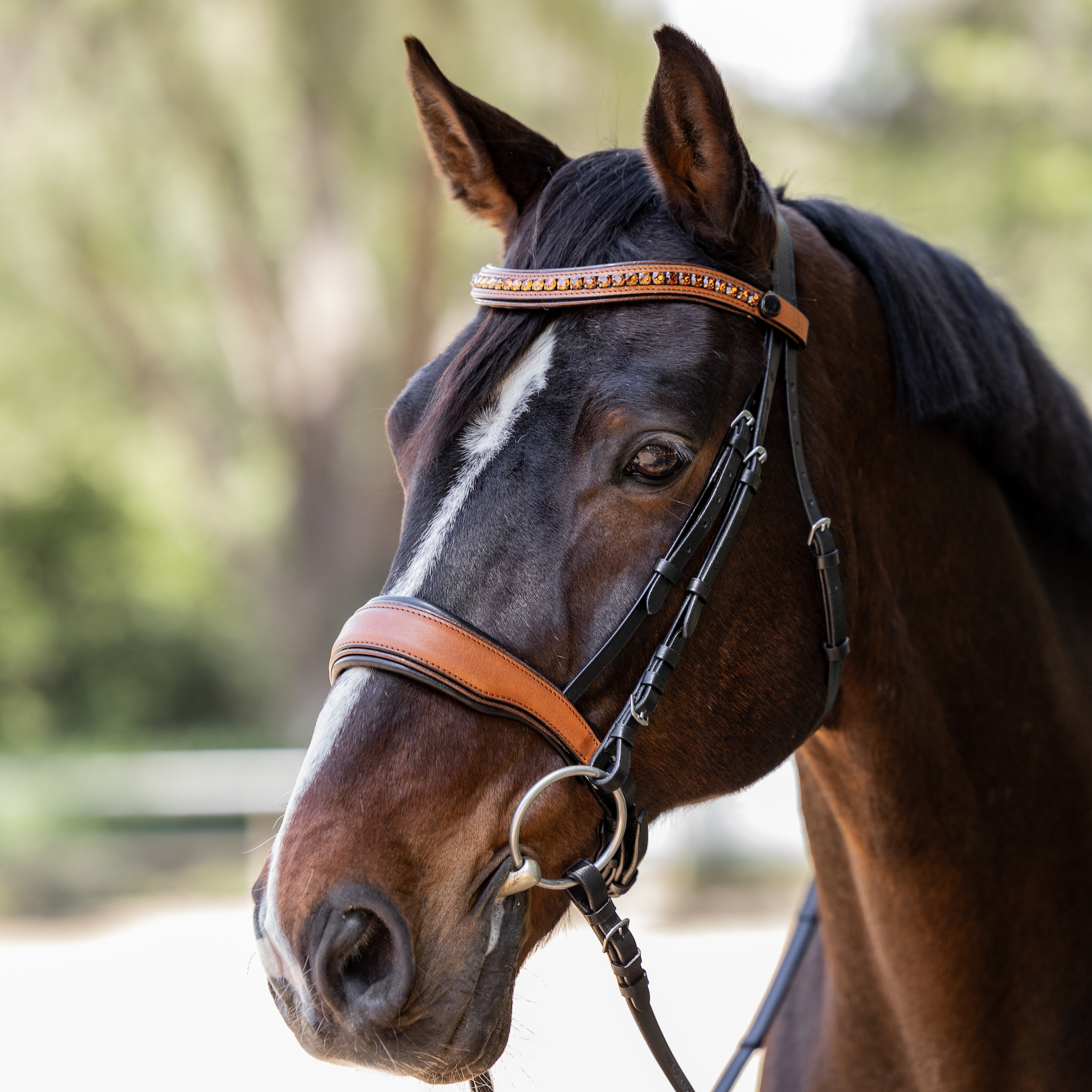 Madrid - Cognac Leather Snaffle Bridle With Flash - Equine Exchange Tack Shop