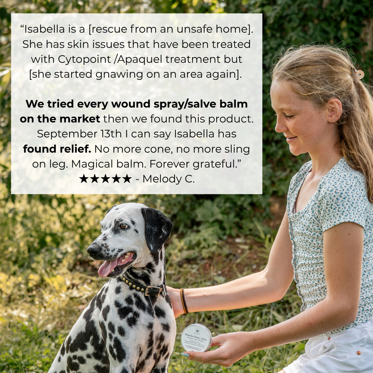 Manuka Honey Healing Salve with Herbal Infusion - For Dogs, Horses & Humans