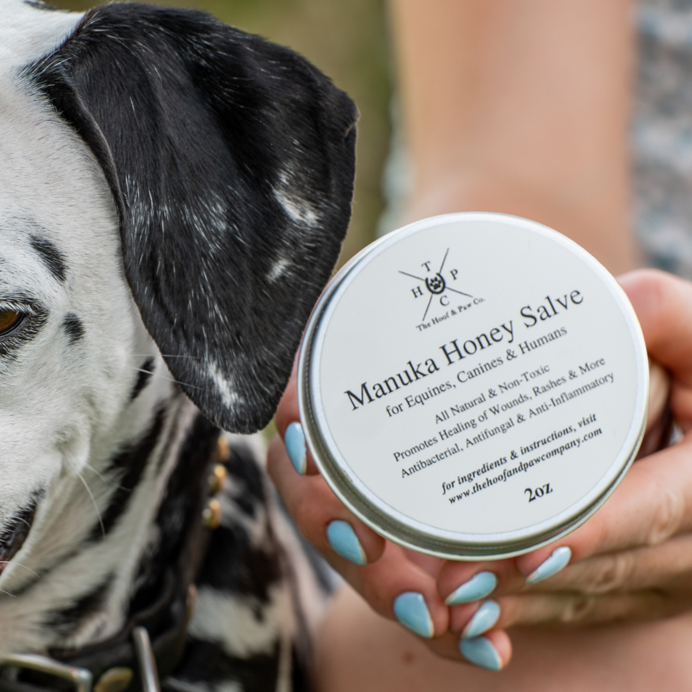 Manuka Honey Healing Salve with Herbal Infusion - For Dogs, Horses & Humans