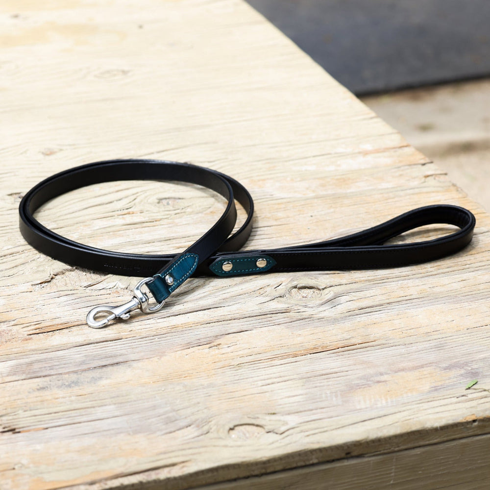 Halter Ego® Metallic Teal Dog Leash - Equine Exchange Tack Shop