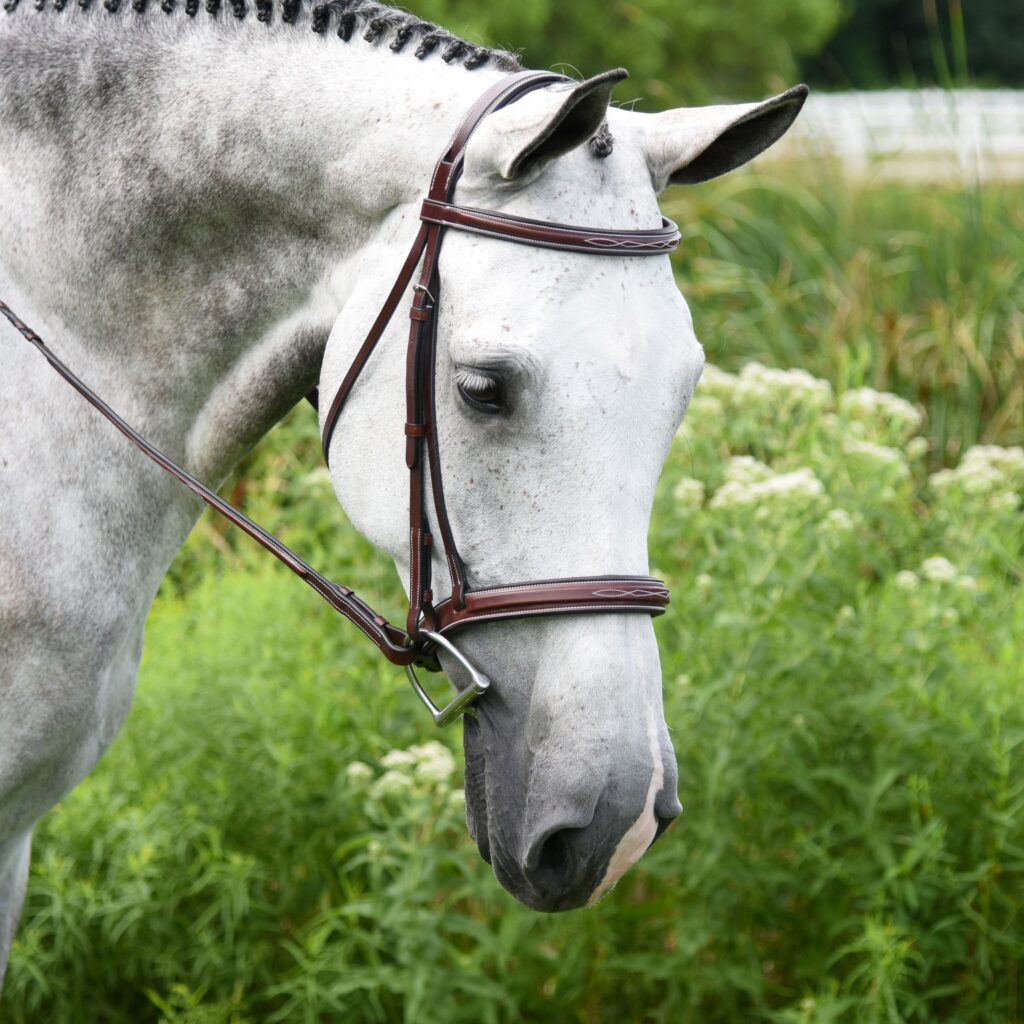 Middleburg Hunter Bridle