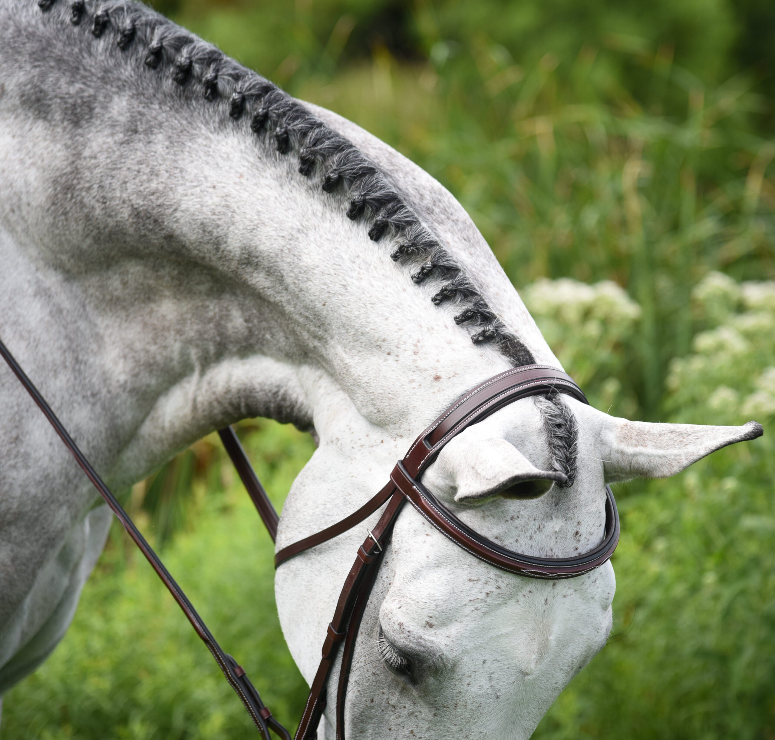 Middleburg Hunter Bridle