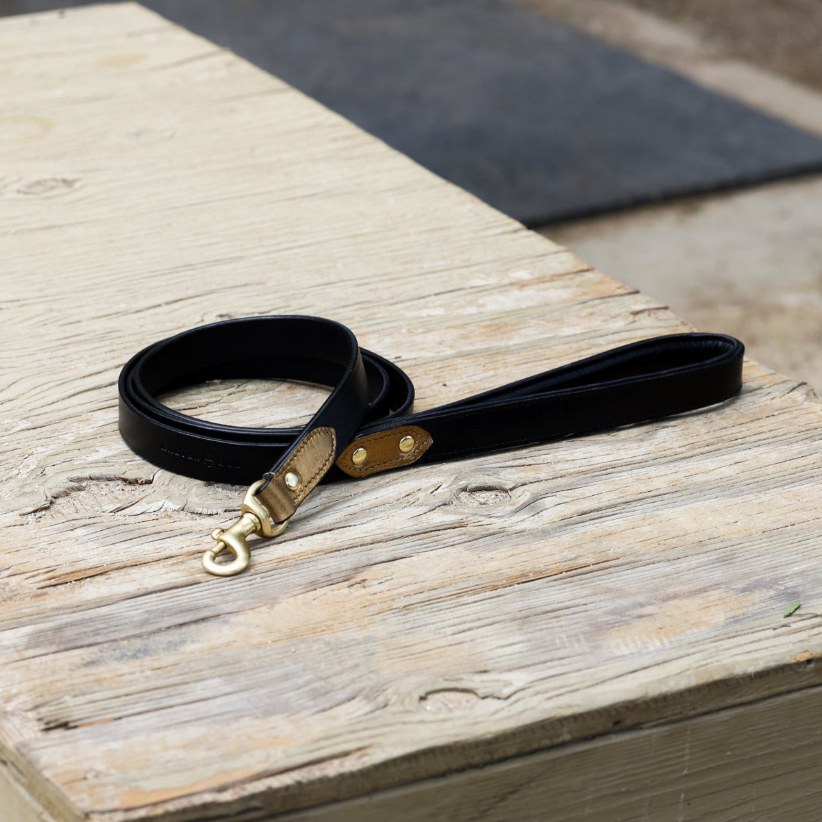 Halter Ego® Milan Dog Leash - Equine Exchange Tack Shop