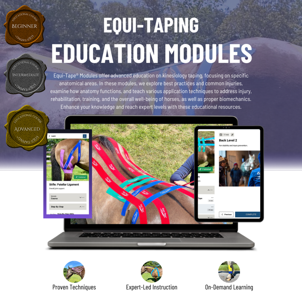 Equi-Tape® Fundamentals Course & Module Bundle - Equine Exchange Tack Shop