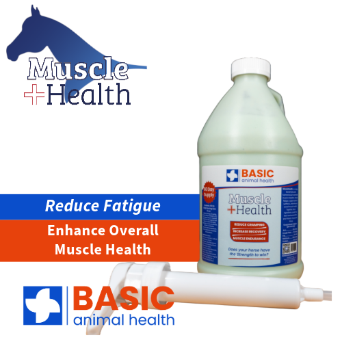 MuscleHealth Gel Supplement for Horses - Bottles - Equine Exchange Tack Shop