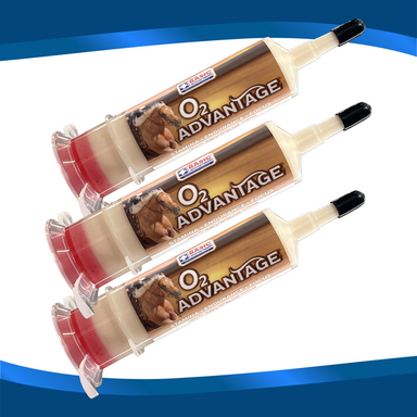 O2 Advantage for Horses - 3 Pack - Equine Exchange Tack Shop